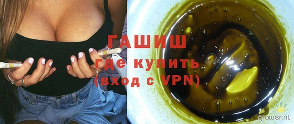 сатива Великий Новгород