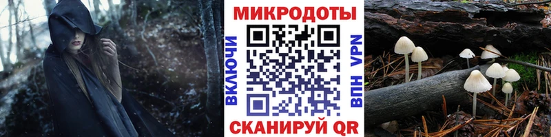 Купить закладки  Калачинск  Галлюциногенные грибы мухоморы 